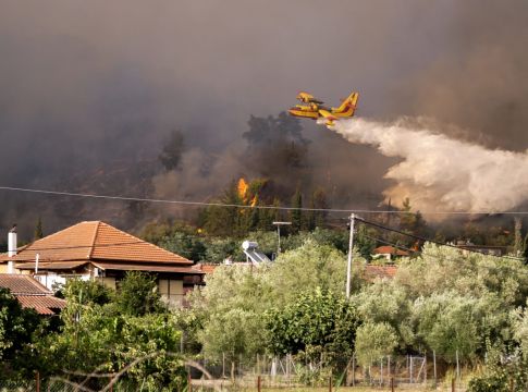 Χαρδαλιάς – Επτά πυρκαγιές ταυτόχρονα στην Ηλεία – 118 φωτιές σε ένα 24ωρο στην Ελλάδα