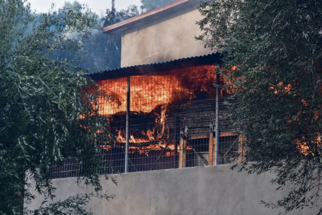 «Σαρώνει» η πύρινη λαίπαπα τη Γορτυνία – Για 9η μέρα καίγεται η Εύβοια