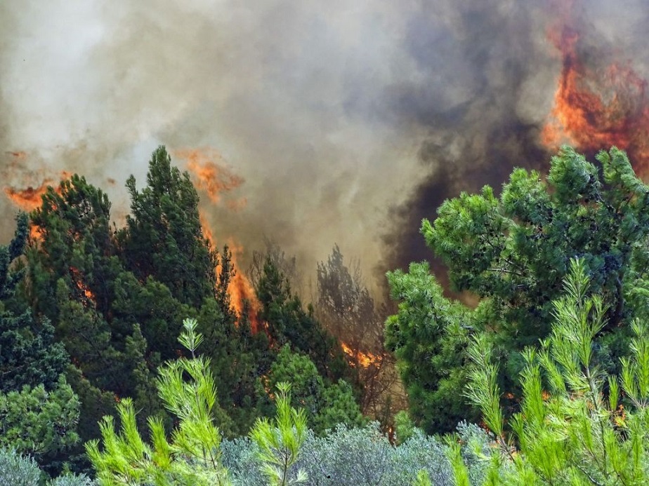 Φωτιά στην Εύβοια – Πληροφορίες για εγκλωβισμένους στις Κεχριές και τη Μουρτιά