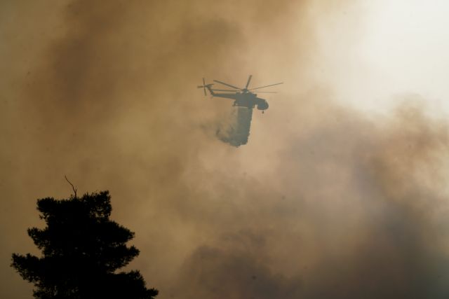 Σοκαριστικός απολογισμός – Κάηκε πάνω από το 50% έκτασης που καίγεται σε μια αντιπυρική περίοδο