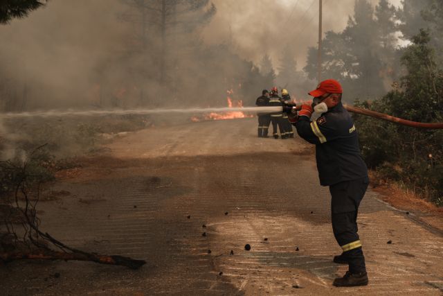 Με… συρτάκι, κρασί και μπύρες αποχαιρέτησαν τους γάλλους πυροσβέστες στη Γορτυνία