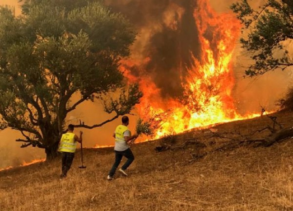 Βίλια – Ενισχύονται τα εναέρια μέσα πυρόσβεσης – Δύσκολες οι επόμενες ώρες