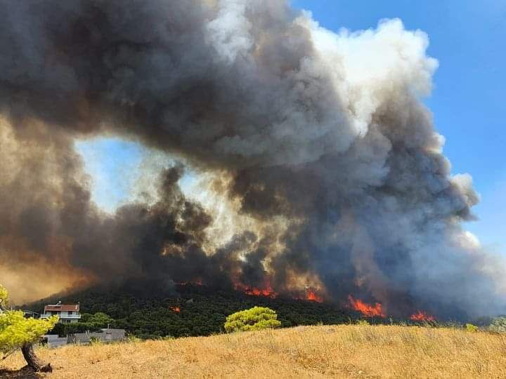 Κόλαση φωτιάς στην Κερατέα – «Έχουν καεί σπίτια» – Μάχη να μη φτάσει στον Εθνικό Δρυμό Σουνίου