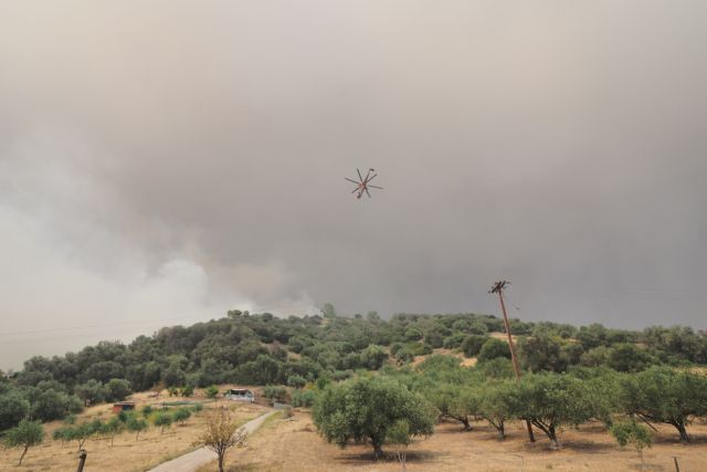 Σε κατάσταση εκτάκτου ανάγκης η Λίμνη Εύβοιας – Στα 100 μέτρα από τις Κεχριές οι φλόγες