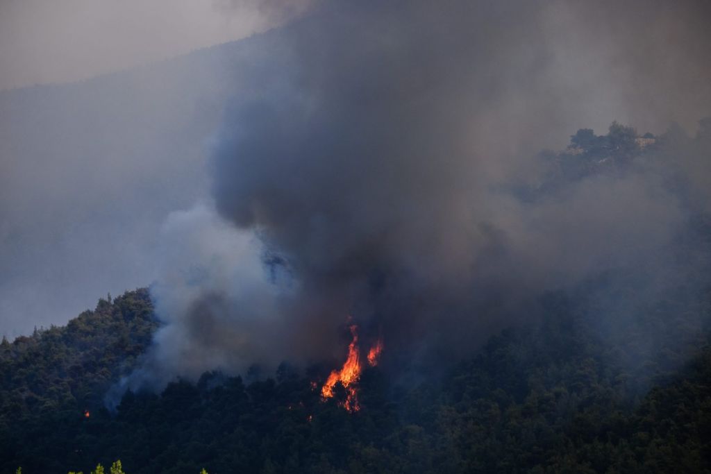Βίλια – Μάχη με τις φλόγες σε μέτωπο 20 χιλιομέτρων – Καίγεται πυκνό πευκοδάσος, ανεξέλεγκτη η κατάσταση
