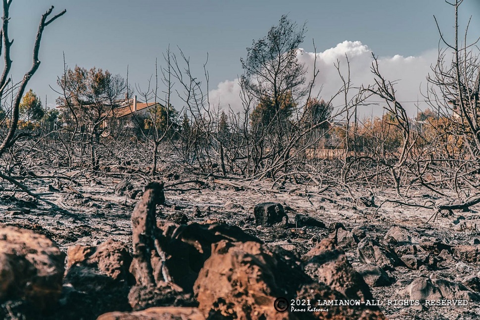 Φθιώτιδα – Ομολόγησε ο 14χρονος για τις φωτιές στον Θεολόγο – Έβαζε φωτιές με αναπτήρα (vid)