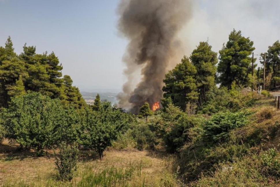 Φθιώτιδα – Φωτιά σε δασική έκταση στο Λογγίτσι – Εντολή εκκένωσης για τον οικισμό