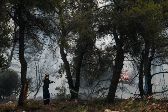 Δραματικές στιγμές – Οι φλόγες μπήκαν στο Κρυονέρι – Καίγονται σπίτια