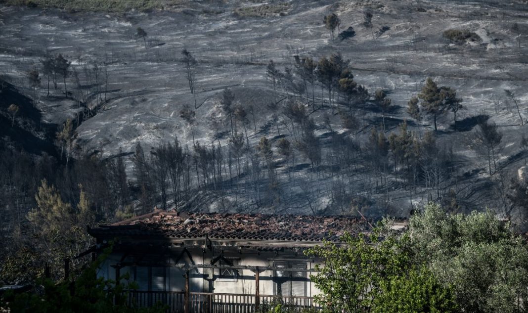 Σοκ – Η καμένη έκταση του τετραημέρου κοντεύει να φθάσει τα καμένα ολόκληρης χρονιάς