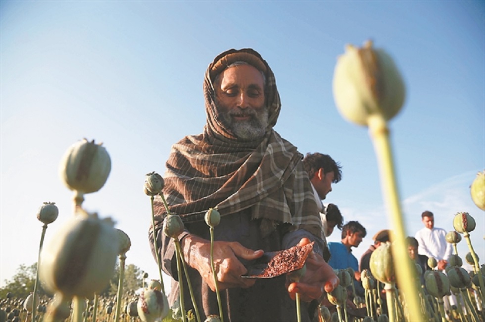 Χρυσές δουλειές από το λαθρεμπόριο οπίου στο Αφγανιστάν