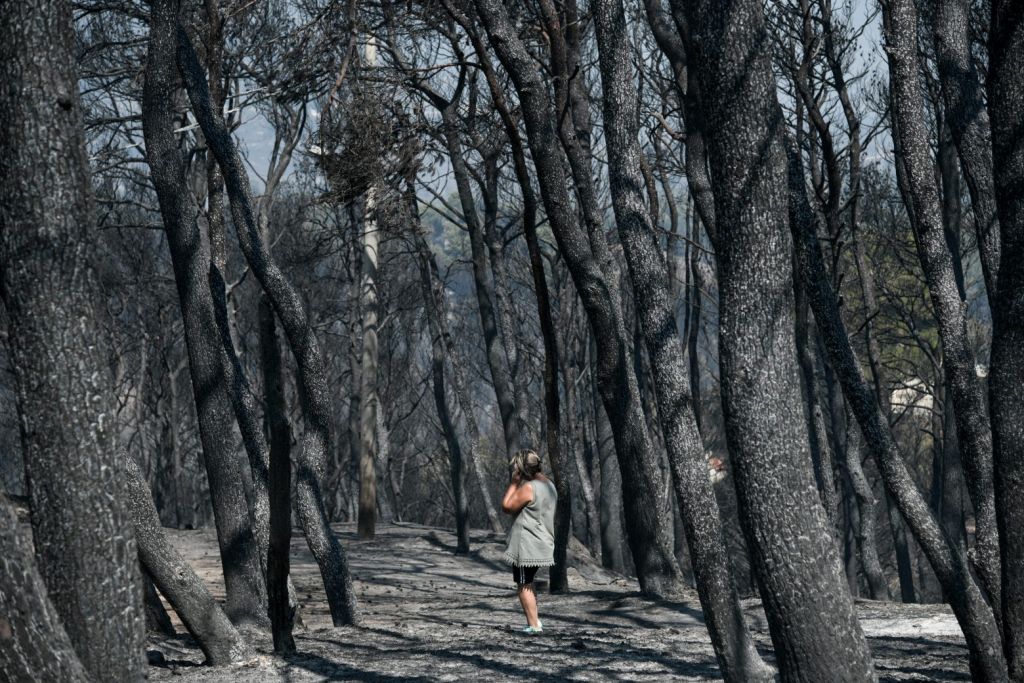 Το «ντόμινο» που κατέκαψε 1.300.000 στρέμματα δάσους