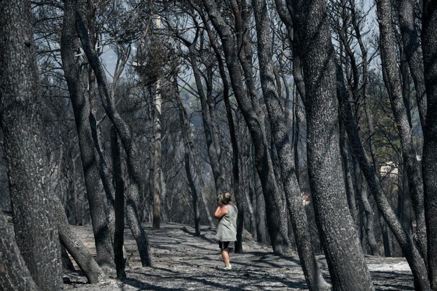 Πυρκαγιές – Τουλάχιστον 600 χιλιάδες στρέμματα τα καμένα σύμφωνα με το Εθνικό Αστεροσκοπείο