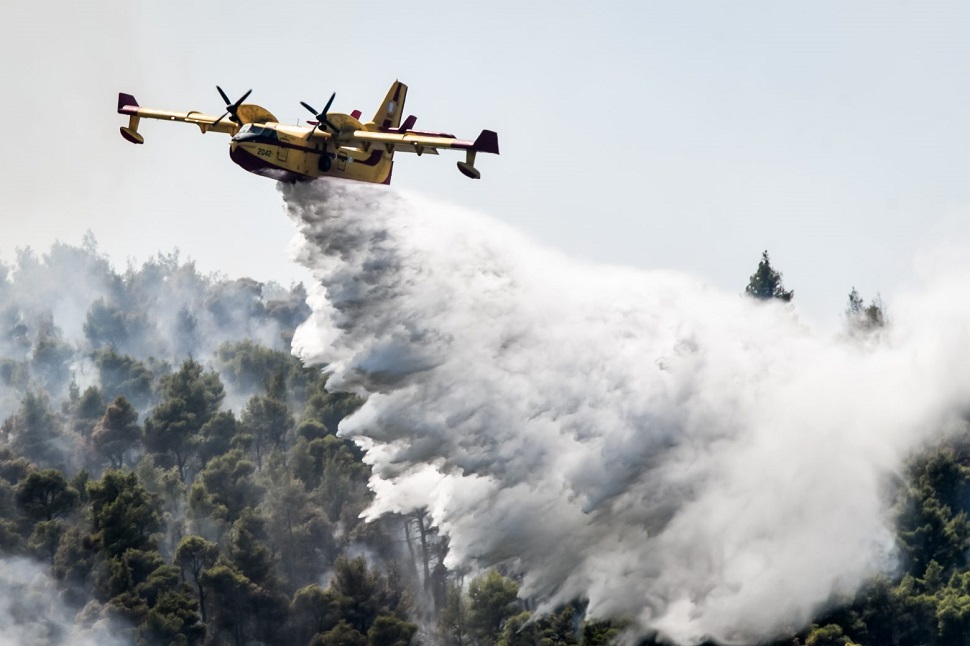 Βίλια – Κοντά στο Πανόραμα και στην Οινόη οι φλόγες – Έκκληση για περισσότερα εναέρια μέσα (vids)