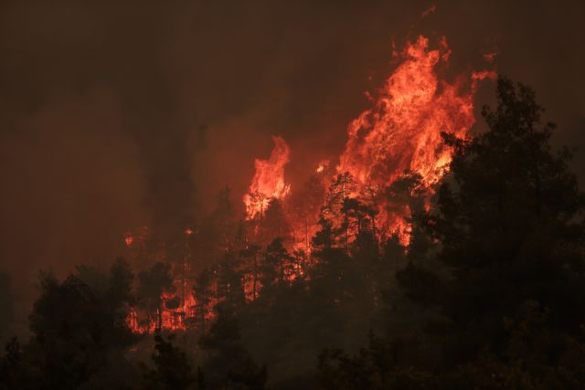 Αποκαρδιωτικές εικόνες – Η εξέλιξη της φωτιάς στην Εύβοια από δορυφόρο της NASA