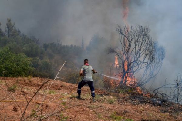 Συναγερμός στην Πυροσβεστική – Πυρκαγιά στις Πρέσπες – Επιχειρούν εναέρια μέσα