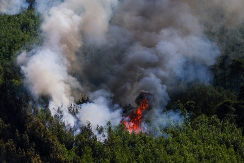 Φωτιά στο Κατακάλι Κορινθίας – Σε συναγερμό η πυροσβεστική