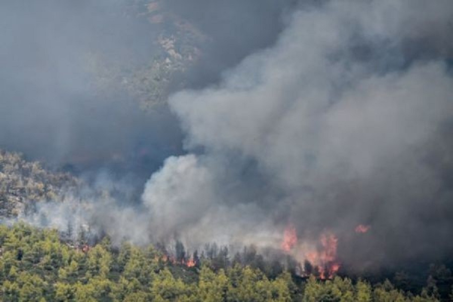 Κως – Φωτιά σε δασική έκταση – Επιχειρούν και εναέρια μέσα