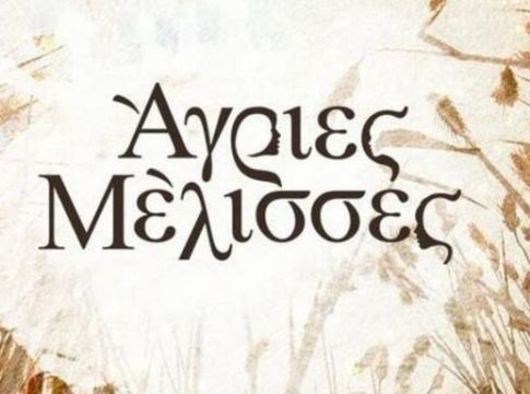 Οι «Άγριες Μέλισσες» διασύρθηκαν… (vid)