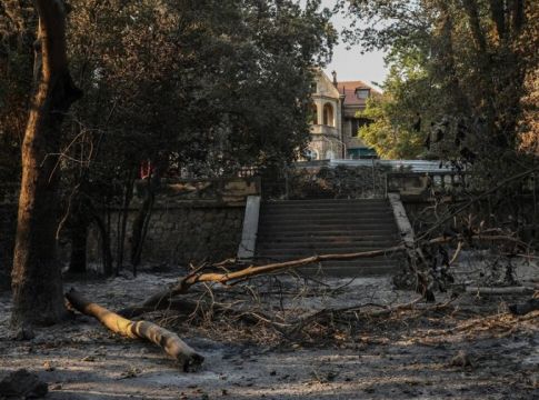Το Τατόι μετά τις φωτιές – Ο απολογισμός, τα σχέδια και το στοίχημα