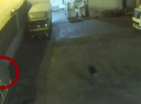 «Σας σιχάθηκε η ψυχή μου» – Κύμα οργής στα social media για τον θάνατο της μικρής Όλγας στο Κερατσίνι