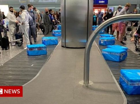 Απίστευτο – Ταξιδιώτες από Κύπρο αντί για βαλίτσες παρέλαβαν… ψάρια