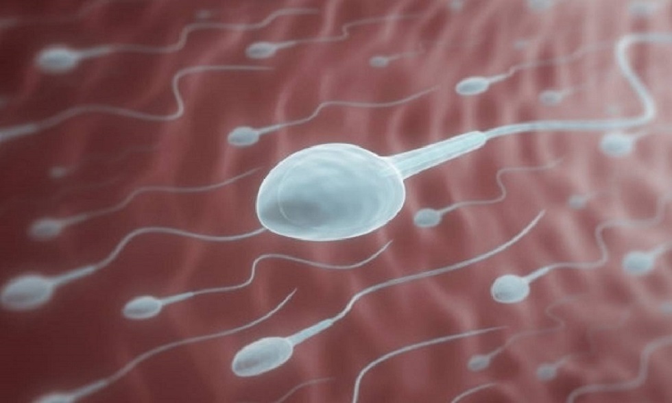 Ο κορωνοϊός επηρεάζει το σπέρμα – Τι ανακάλυψαν οι επιστήμονες