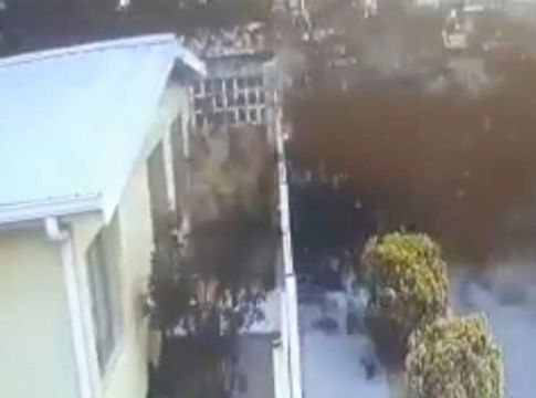 Μεξικό: Η στιγμή που δεκάδες κοτσύφια «βουτάνε» ταυτόχρονα στον θάνατό τους (vid)