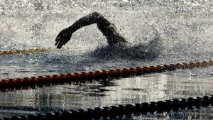 Le Mondial de natation de Kazan est annulé en raison de la guerre