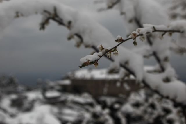 Ανοιξιάτικο διάλειμμα… τέλος – Η νέα κακοκαιρία έρχεται και φέρνει χιόνια στην Αττική