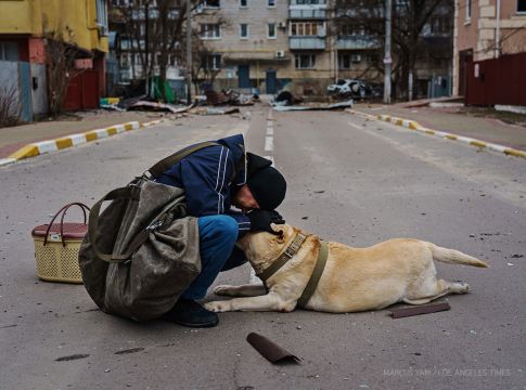 Ουκρανία: Άνδρας προσπαθεί να βοηθήσει τον παραλυμένο από φόβο σκύλο του