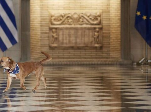 Ο σκύλος του Κυριάκου Μητσοτάκη δάγκωσε υπουργό της Κυβέρνησης