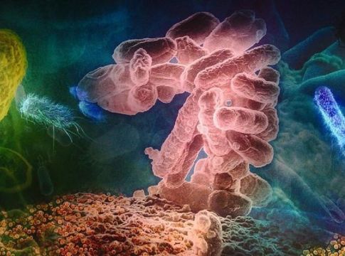 Όταν καλπάζουν οι ενδονοσοκομειακές λοιμώξεις – Ετοιμότητα για τον Candida auris