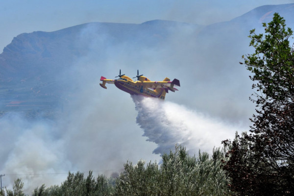 Συναγερμός για μεγάλη φωτιά στη Μεσσηνία – Επιχειρούν και εναέρια μέσα