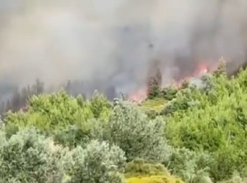Φωτιά στην Εύβοια: Εκκενώνεται το χωριό Κρεμαστός