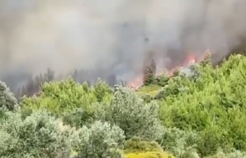Φωτιά στην Εύβοια: Εκκενώνεται το χωριό Κρεμαστός