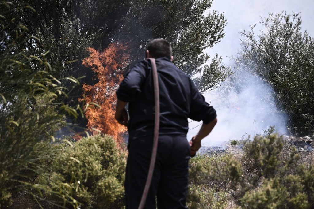 Φωτιά στην Εύβοια: Βελτιωμένη η εικόνα, χωρίς ενιαίο μέτωπο – Ενισχύθηκαν οι δυνάμεις