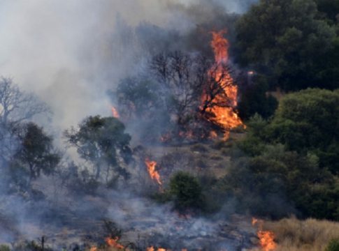 Συναγερμός στην Εύβοια – Η φωτιά έφτασε στην είσοδο του χωριού