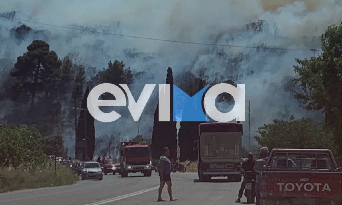 Μεγάλη φωτιά στο Αλιβέρι στην Εύβοια κοντά σε κατοικημένη περιοχή οι φλόγες – Έκλεισε ο δρόμος