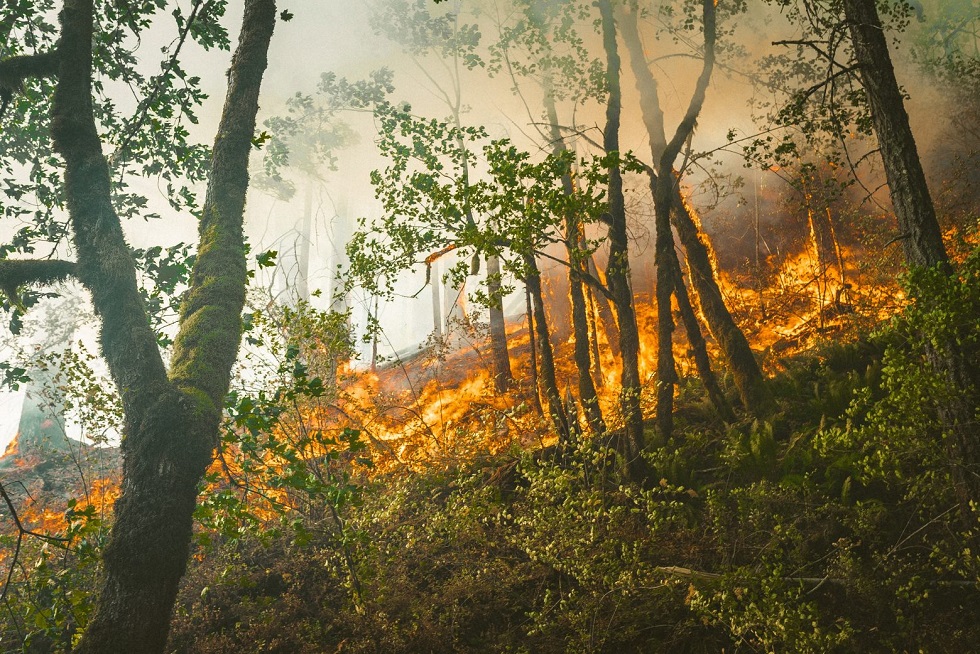 Υψηλός κίνδυνος πυρκαγιάς την Κυριακή 24 Ιουλίου