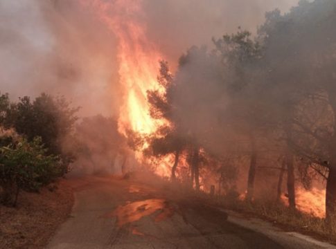 Πολιτική Προστασία: Προσοχή σε αυτές τις δύο περιοχές – Μεγάλος κίνδυνος πυρκαγιάς