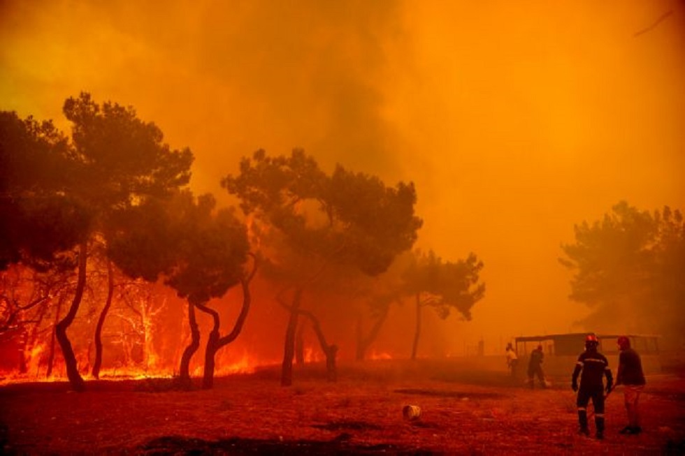 Φωτιά: Χάθηκαν πάνω από 42.000 στρέμματα δάσους – Λιγοστεύει επικίνδυνα το πράσινο στην Ελλάδα