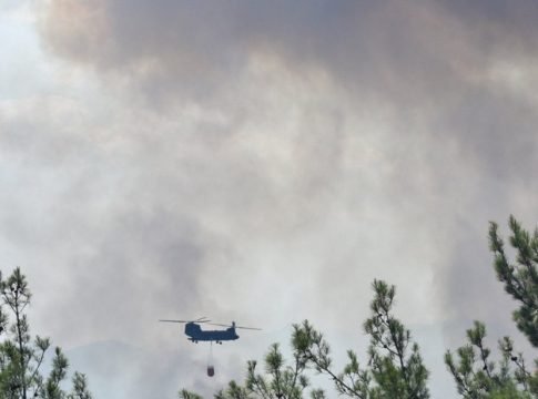 Έβρος: Μάχη για να σωθεί ένα από τα πιο ευαίσθητα οικολογικά πάρκα της Μεσογείου – Δραματικές ώρες