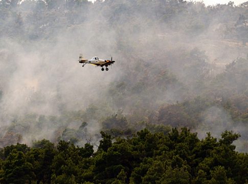 Φωτιά στη Δαδιά: Οκτώ μέρες μάχης με τις φλόγες – Ξεκίνησαν οι ρίψεις νερού