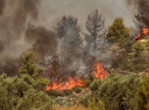 Πολιτική Προστασία: Πολύ υψηλός κίνδυνος πυρκαγιάς και τη Δευτέρα
