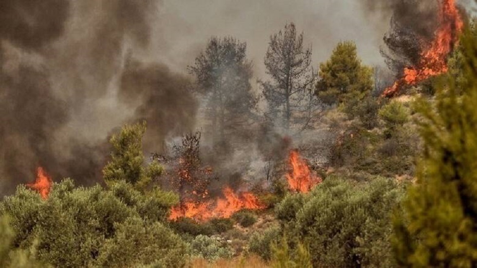 Φωτιά στην Καλλονή Τροιζήνας – Άμεση κινητοποίηση επίγειων και εναέριων δυνάμεων