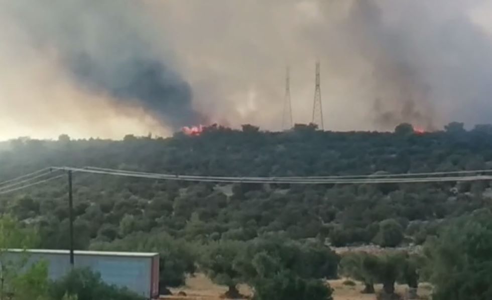 Φωτιά στη Μάνδρα Αττικής: Μεγάλη κινητοποίηση της Πυροσβεστικής