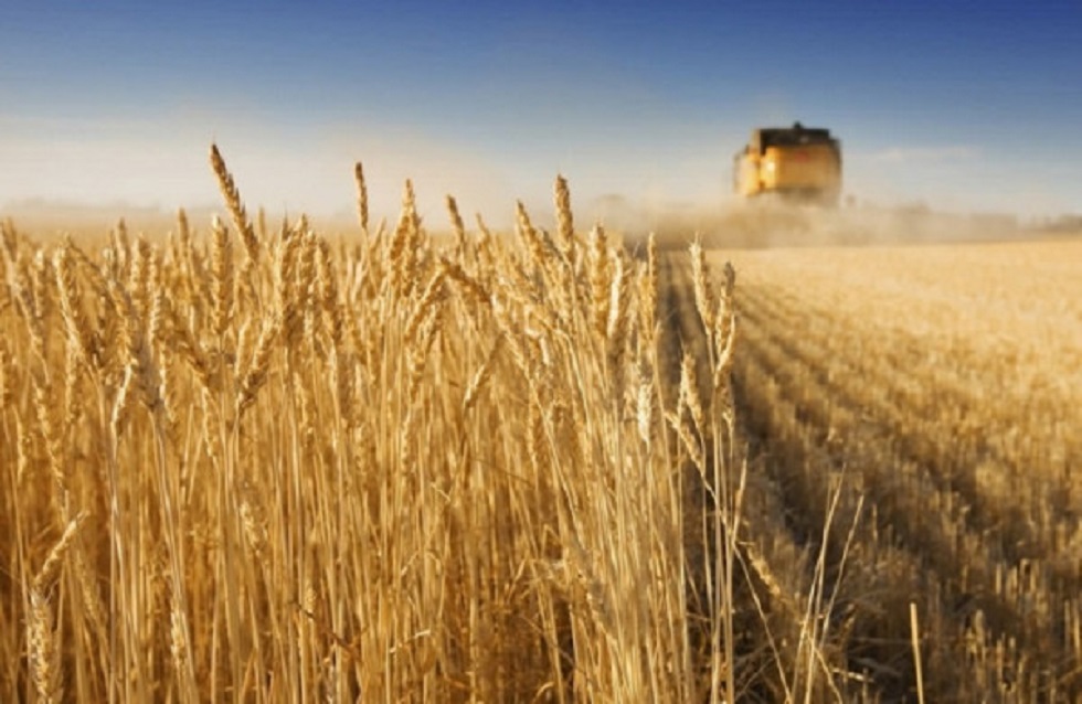 ΗΠΑ: Η Ουάσιγκτον χαιρετίζει τη συμφωνία μεταξύ Ρωσίας και Ουκρανίας για τα σιτηρά