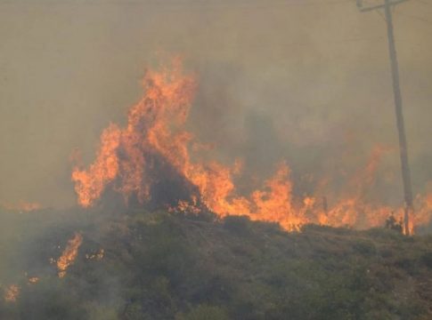 Προσαγωγή υπόπτου για εμπρησμούς στο Αλιβέρι