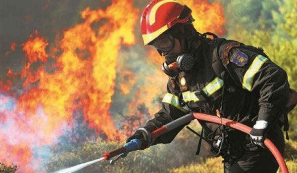 Φωτιά στη Φθιώτιδα: Ενισχύονται οι δυνάμεις – Στις φλόγες δασική έκταση στο Πετρωτό Δομοκού