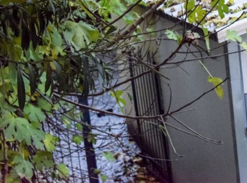 Σέρρες: Ελεύθεροι οι δύο συλληφθέντες για τη φονική έκρηξη σε δημοτικό σχολείο
